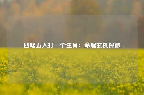 四啥五入打一个生肖：命理玄机探微