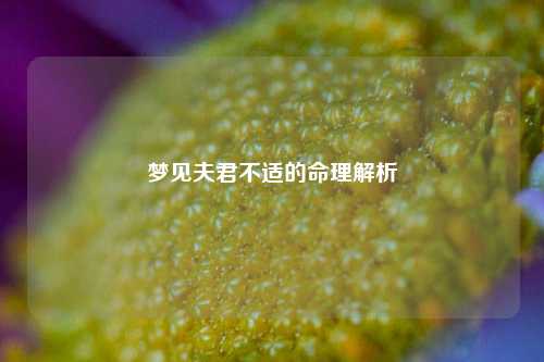 梦见夫君不适的命理解析