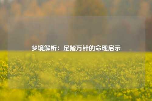 梦境解析:足踏万针的命理启示