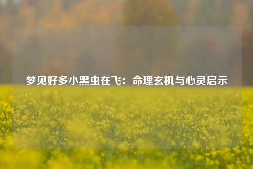 梦见好多小黑虫在飞:命理玄机与心灵启示