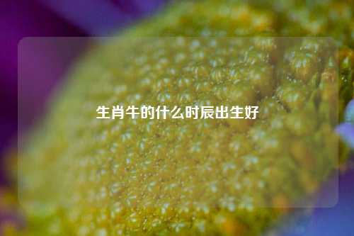 生肖牛的什么时辰出生好